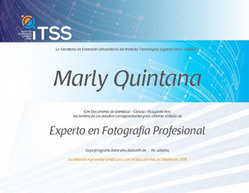 Certificacion ITSS